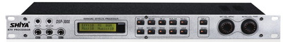 2.DSP-3000
